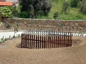 ANTHEMUS SEA BEACH HOTEL 4*   