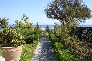 AEGEAN MELATHRON THALASSO SPA HOTEL 5*  