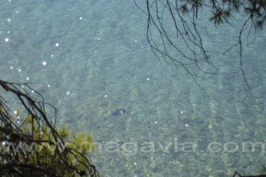 ATHENA PALLAS VILLAGE 4*   -  