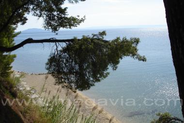 ATHENA PALLAS VILLAGE 4*   -  